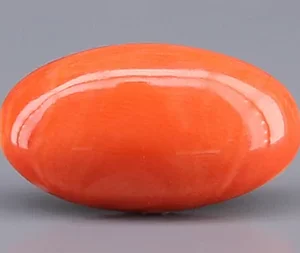 Japanese Red Coral